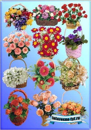 Клипарт - Корзинки с цветами