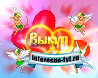 Заставки для свадебного фильма