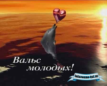 Футаж: "Свадебный вальс молодых"