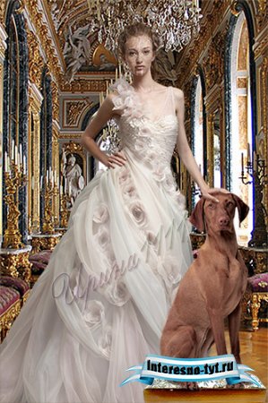 Женский шаблон для Photoshop - Девушка с собакой