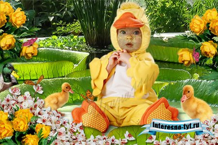 Детский шаблон для Photoshop - Утенок