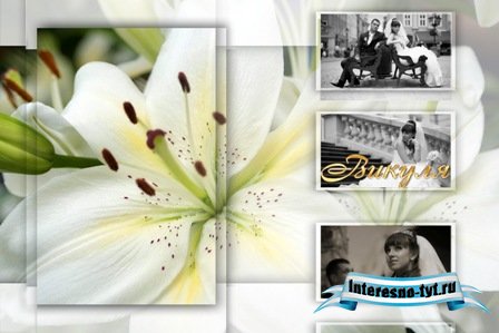 Фоторамка - свадебно-гламурная 21