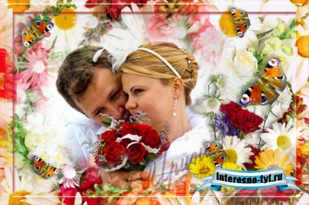 Рамка для Photoshop - В ромашках