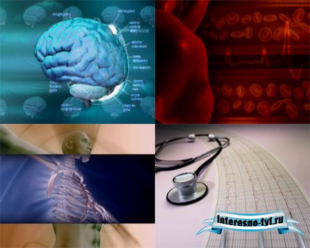 Скачать бесплатно футажи - На медицинскую тему