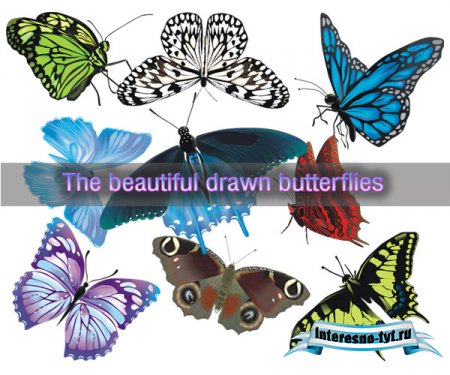 The drawn butterflies