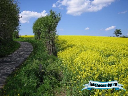 Красивые картинки - Лето