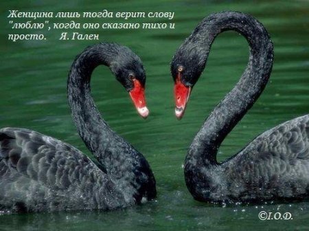 Картинки о любви