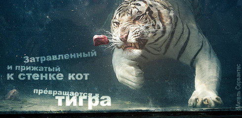 Картинки со смыслом о жизни