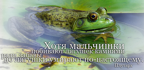 Картинки со смыслом о жизни