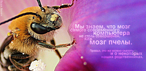 Картинки со смыслом о жизни