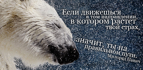 Картинки со смыслом о жизни
