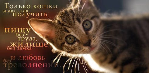 Картинки со смыслом о жизни