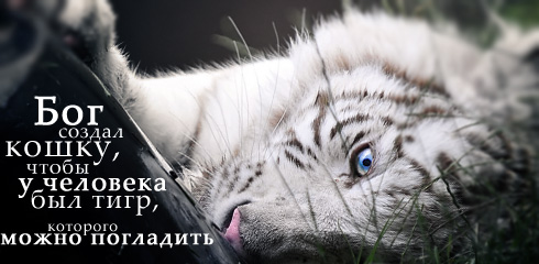 Картинки со смыслом о жизни