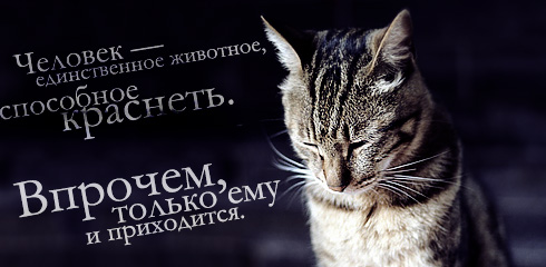 Картинки со смыслом о жизни