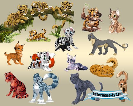 Детский клипарт - Дикие кошки