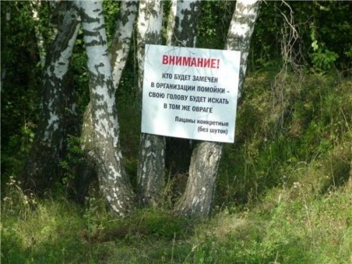 Прикольные картинки - Немного идиотизмов