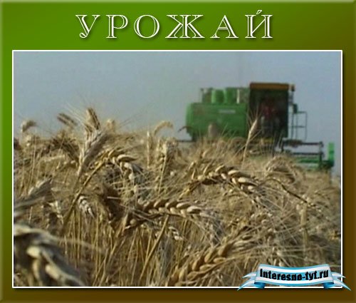 Футаж - Уборка урожая