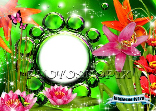 Рамка для Photoshop – Утренняя роса