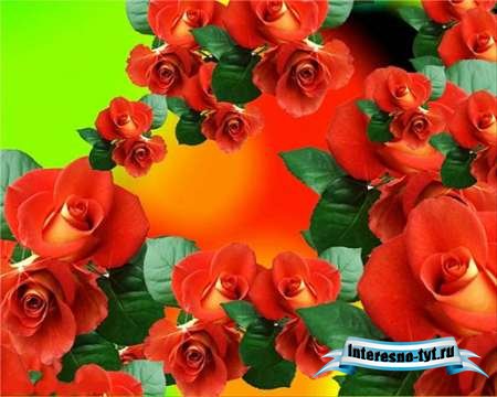 Прекрасные футажи - Розы