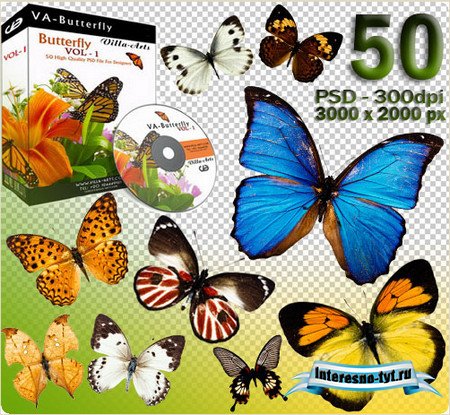 Villa-Arts Butterfly Vol.1
