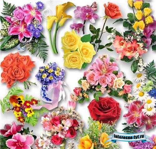 Цветочный клипарт / Clipart - Flowers