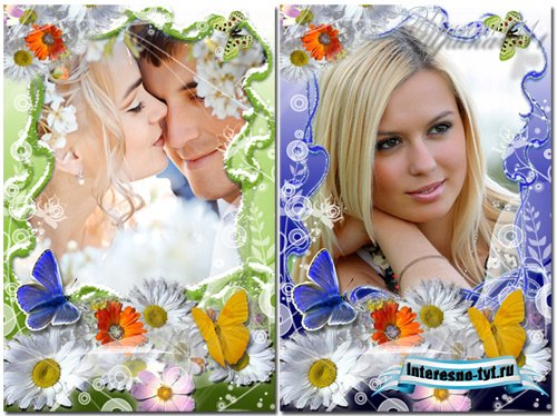 Рамка для Photoshop - Ромашки