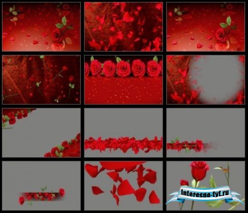 Digital juice - Editor's Themekit 117: Roses are Red (SD)