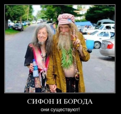 Очередная весёлая подборка демотиваторов