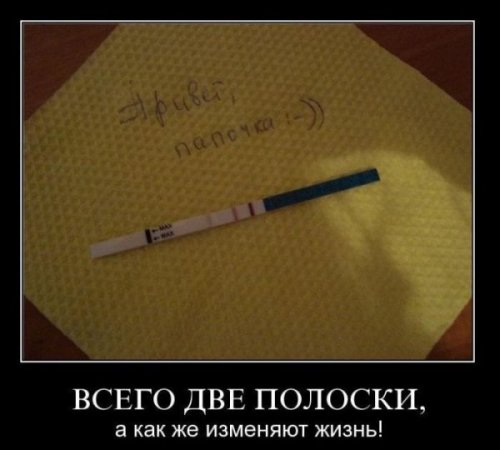 Очередная весёлая подборка демотиваторов