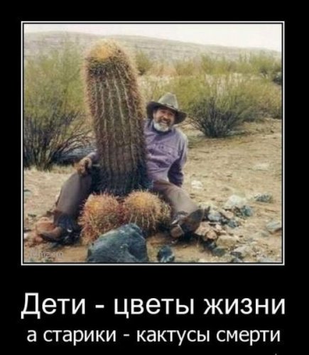 Очередная весёлая подборка демотиваторов