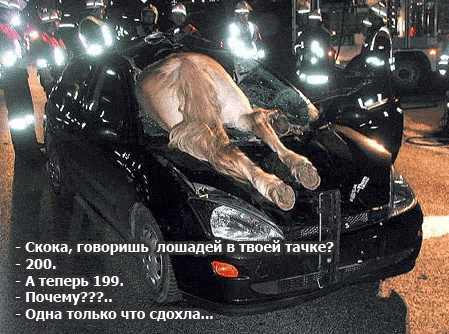 Прикольные картинки с надписями