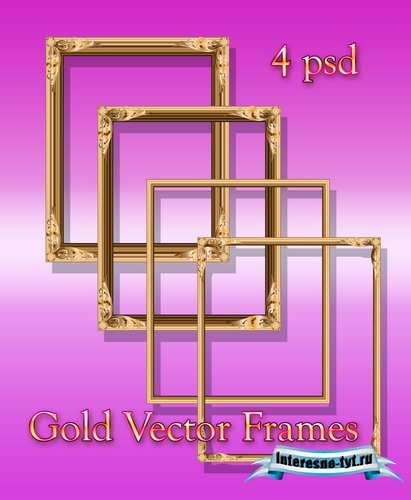Gold Vector Frames
