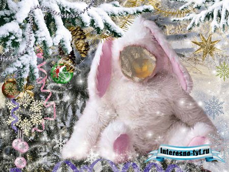 Шаблон детский для Photoshop – Зайка в лесу