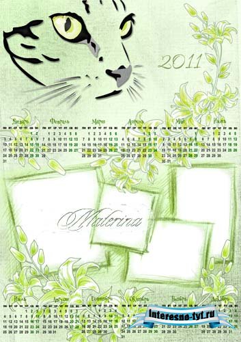 Календарь - рамка на 2011г. для photoshop - Оригинальный