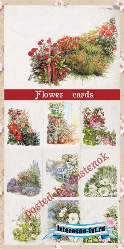 Цветочные рисунки из акварели vol.1 Цветочные рисунки из акварели vol.1