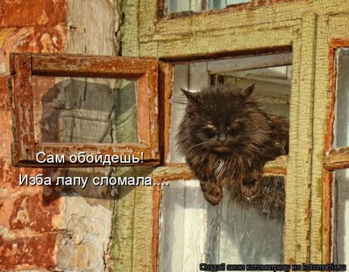 50 лучших котоматриц этой недели
