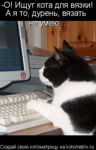 50 лучших котоматриц этой недели