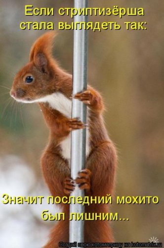 50 лучших котоматриц этой недели