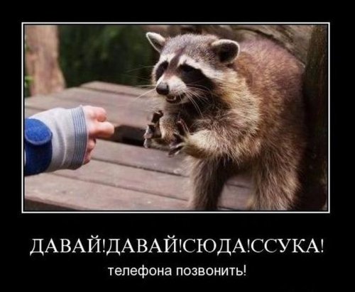 Заряд позитива на весь день