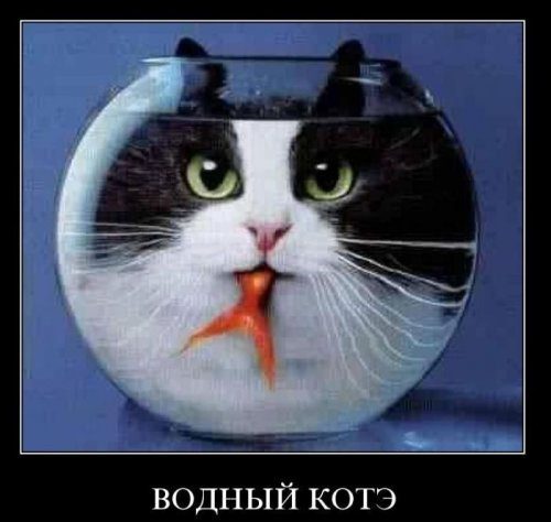 Заряд позитива на весь день