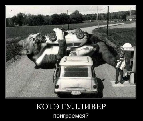 Заряд позитива на весь день