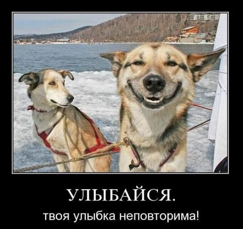 Заряд позитива на весь день