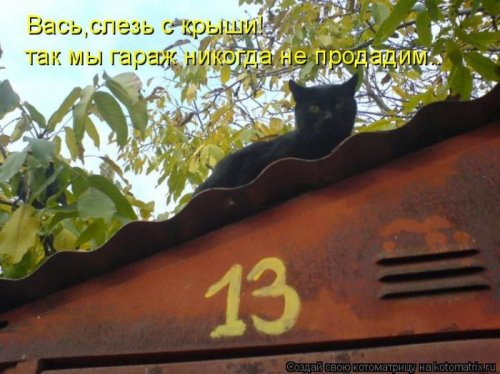 котоматрица лучшее за неделю