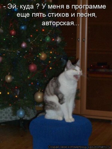 котоматрица лучшее за неделю