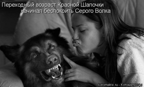 котоматрица лучшее за неделю