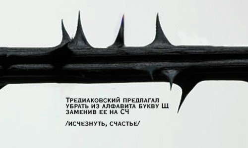 Красивые картинки со смыслом, картинки со словами