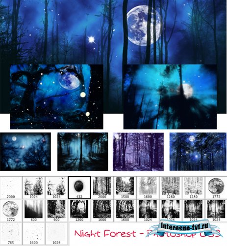 Кисти для Photoshop - Зимняя ночь