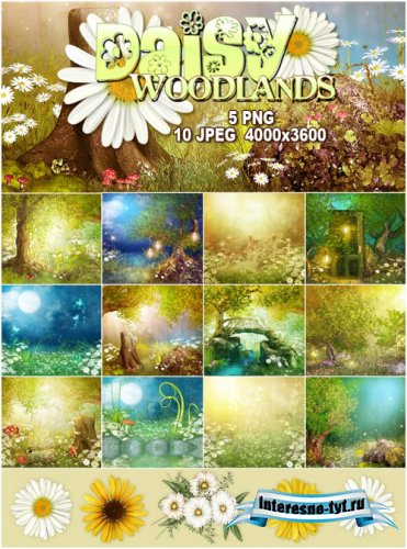 Набор фонов для Photoshop - Daisy Woodlands