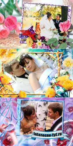 Weddings PSD Frames Cillage For Adobe Photoshop Vol.7