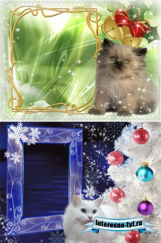Новогодние рамки для Photoshop - С котенком